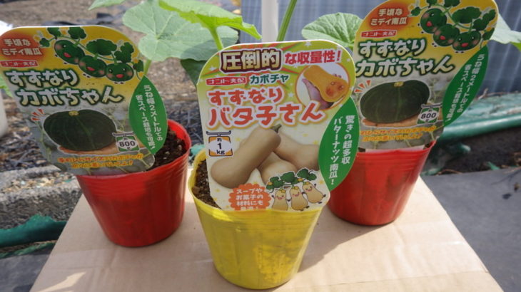 2019.04.14_夏野菜の植え付け2回目